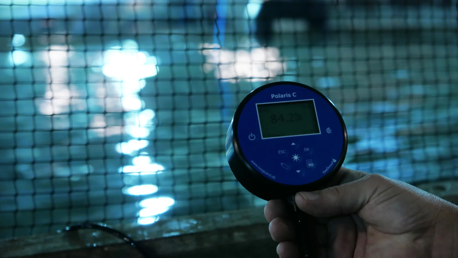 Handheld Monitoring